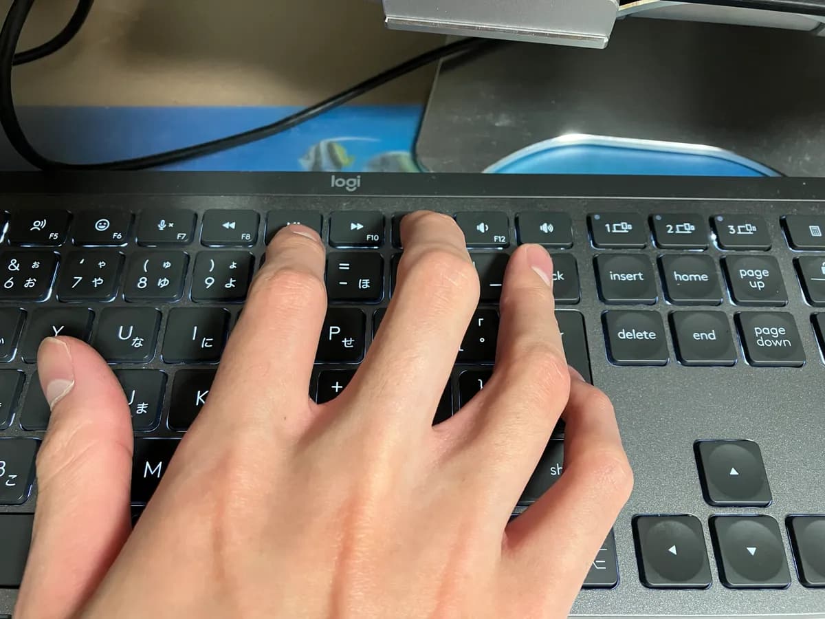 詐欺詐欺パニック用のホームポジション.右手のカバー範囲が狭くなる分,左手が結構荒ぶります.関係ないですが,キーボードは自宅でも研究室でもロジクール MX KEYSシリーズを愛用しています,